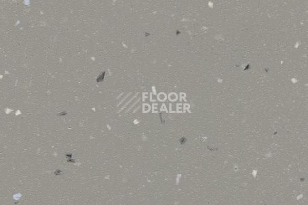 Линолеум FORBO SureStep STAR 176922-178922 concrete фото 1 | FLOORDEALER